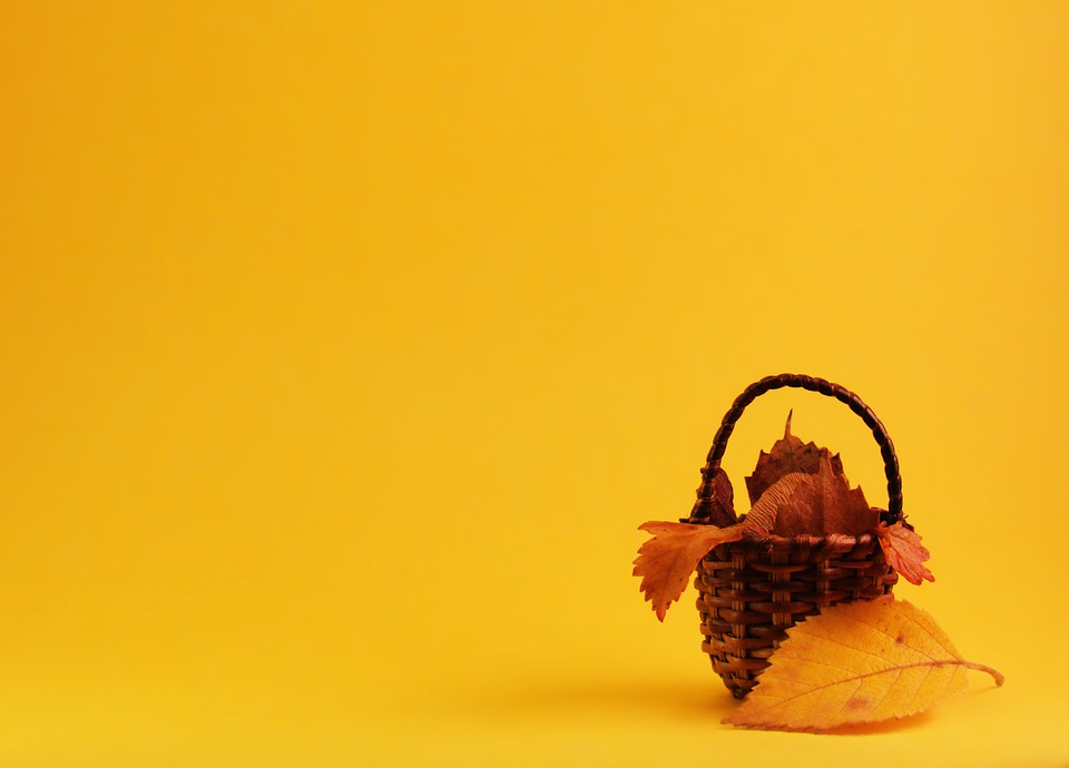 autumn 6668941 960 720  autumn 6668941 960 720