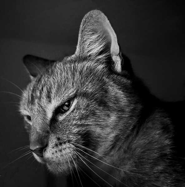 PXL 20220831 060311196.MOTION 01.COVER2