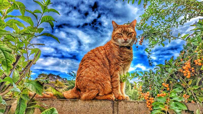 PXL 20230107 182637788 01